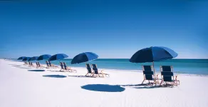 Snowbird Winter Specials Only 1 House til Beachfront, Front & Back Deck BBQ Grill - Image 4
