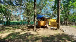 Gypsy Wagon #1 - Image 5