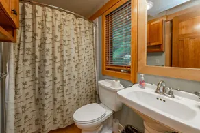 Cozy Lakefront Escape w/ Sauna, Swim Spa & Views - Image 3