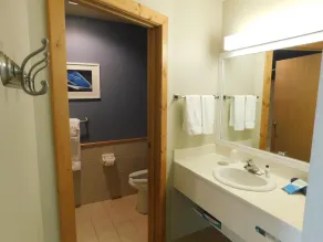 Lakeside Lodge King Room w/Jacuzzi Tub & Views of Gull Lake - Pet Friendly! - Image 5