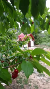 Immaculate 2-Bed Cottage near Krka Waterfalls - Image 4