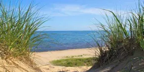 INDIANA DUNES/LAKE MICHIGAN/DOWNTOWN CHESTERTON - Image 5