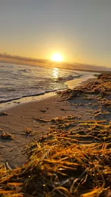 Large vacation apartment with the sound of the sea (pet-friendly) - Image 4