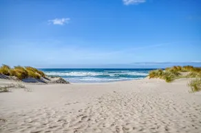 Single Level Oceanfront Manzanita Home with Modern Touches, Dog Friendly! - Image 4