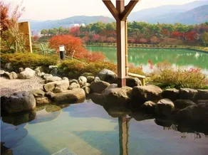 Tatsuno Park Hotel - Image 5