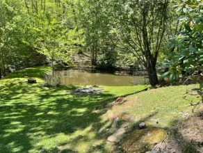 Zen Dome: Relax & Revive in the Beauty of Nature - Image 4