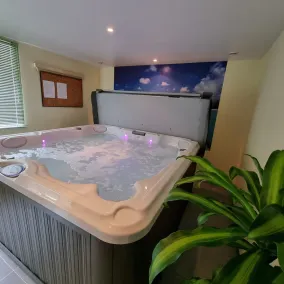 Gite \"Blueberry\" af 4/6 personer med jacuzzi - Image 3