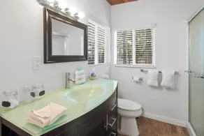 Redwood Elegance - Fantastic remodeled contemporary mountain home with floor to ceiling windows! - Image 3