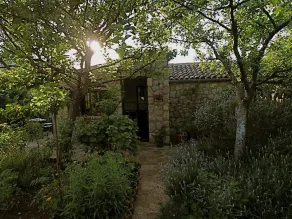 Cozy Pet-Friendly 1BR Apartment for 3 - Image 5