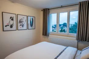 Air-conditioned suite with king-size bed & private parking near Eurexpo and CHU - Image 5