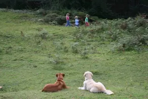 The Farm @ Hunter Escape - Image 4