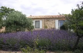 House / Villa - Gordes - Image 4