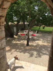 Masseria Camarda 5-Sterne-Bauernhaus - Image 2