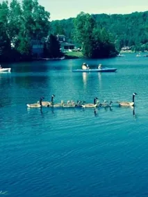 'Waters Edge' Romantic Cottage-Dogs Welcomed - Image 5