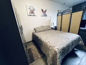 Cottage Obregon in downtown - Zona Centro - Image 4