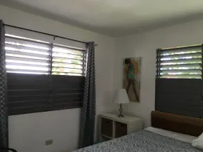 Garden Apartment, One Mile From The North Coast Beach - Image 3