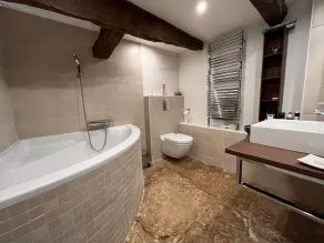 Domaine de fangal 4* - 10p - dovecote+house, air-conditioned, private 25 m pool - Image 3