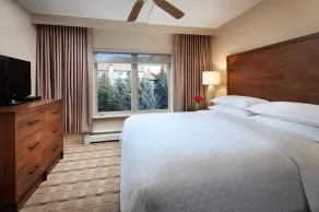 1400SF - 2 Bedroom Villa for 8 - Avon-Beaver Creek - Image 5