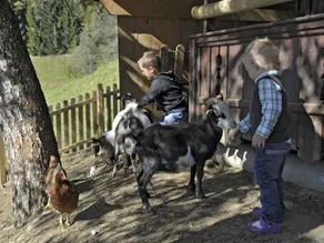 Vacation apartment Abendrot - Irxnerhof - Vacation on a farm - Image 3