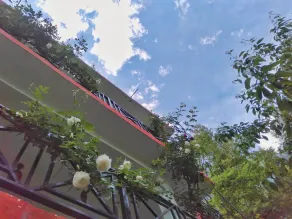 Hostel for backpackers around the world - Image 1