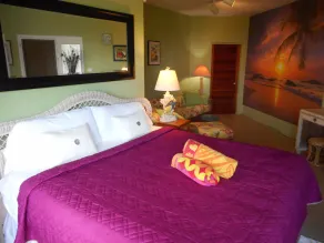 Couples Retreat, King Bed, Wi-Fi, Cable TV, A/C, Close to Cruz Bay - Image 2