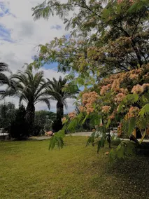 Country house in the hills 8 km from St. Benedict of T. Mediterranean Atmosphere - Image 5