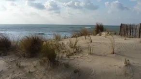 Hus i nærheden af Lacanau, mellem Maubuisson og Carcans plage - Image 4