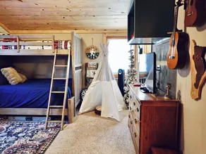 Cabin with yard, fireplace, pet friendly, near Boone, New River - Image 5