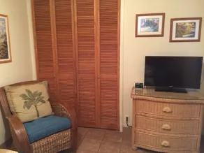 Aloha Hale Ocean View Maui Condo In Ocean Front/Beach Resort Swim with Turtles! - Image 2