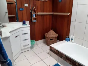 Blue Patch- Pet Friendly - Image 2