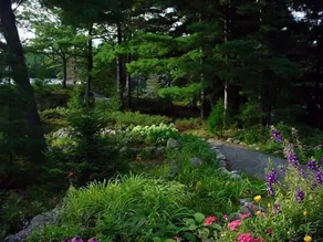 Lake Joseph Luxury Retreat - Image 5