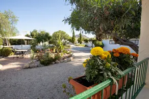 Mobile home with beautiful garden - Image 4