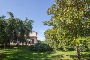 Fattoria Montignana - Image 5