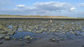 Entdecken Sie vor unserer Haustür den Wild Atlantic Way und die Pracht von Clare - Image 4