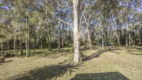 Rosemary Cottage at Bawley Point - Image 2