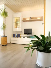Vacation apartment offering a relaxing retreat in the garden with a terrace - Image 2