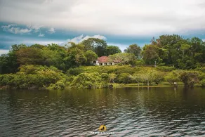 \"Experience Luxury Living at its Finest with River Front Villas\" - Image 3