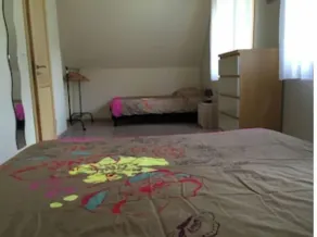 Chalet 4**** : terrace,  1500 m², garden, city center only 5 min on foot - Image 3