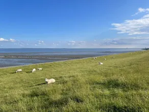 Tideland 2 - Image 4