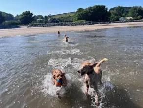 Llansteffan 2-Bed Cottage Sleeps 4 Dog Ok - Image 2