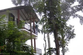Hill Forest Cottage - Image 4