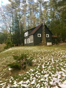WOODSTOCK SUMMER CHARMER: HIKING, NATURE, ELEPHANT ART SANCTUARY. AUGUST AVAIL - Image 4