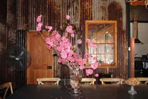Fabulous Country Stay on cattle & sheep property northern NSW - Image 4