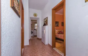 House Back to Nature - Image 3
