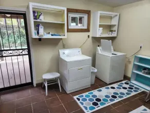 Cottage in the Woods, Safe area, on 6 acres, Free Parking. - Image 2