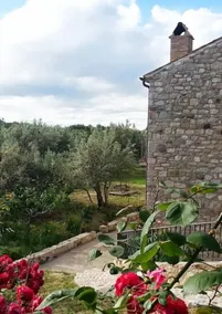 Abruzzo. Casa rural cercada por oliveiras perto do lago - Image 4
