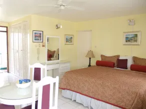 Beautiful Beachfront Studio Condo, D17 Ocho Rios Jamaica - Image 5
