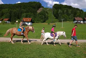 Vacation park on a south-facing slope, horses, swimming pool, restaurant and playground - Image 2