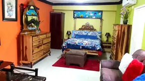 Studio Apartment - Image 4