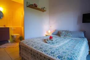 DUINGT, old Sheepfold, quality renovation, 100m from the lake. - Image 4